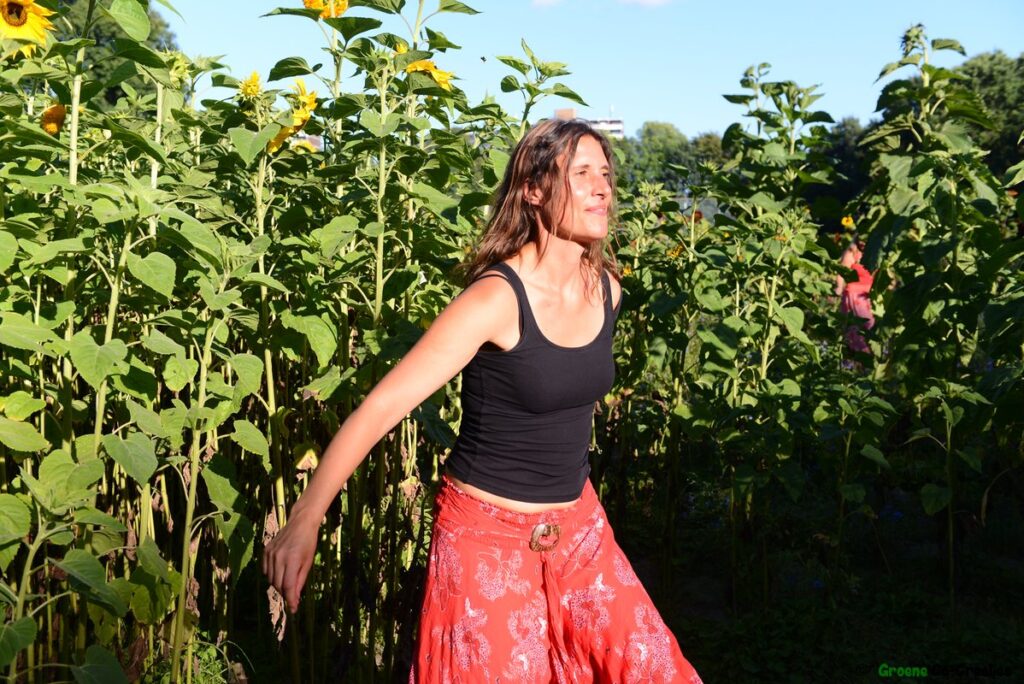 Dansen in het zonnebloemdoolhof